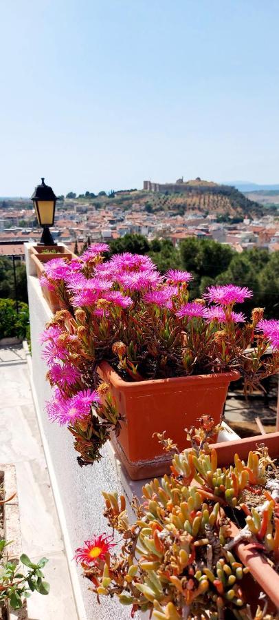 Apartmán Ephesus Hillside Selcuk Exteriér fotografie